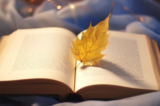 涡阳县第二中学的学校设备 涡阳县第二中学的所获荣誉