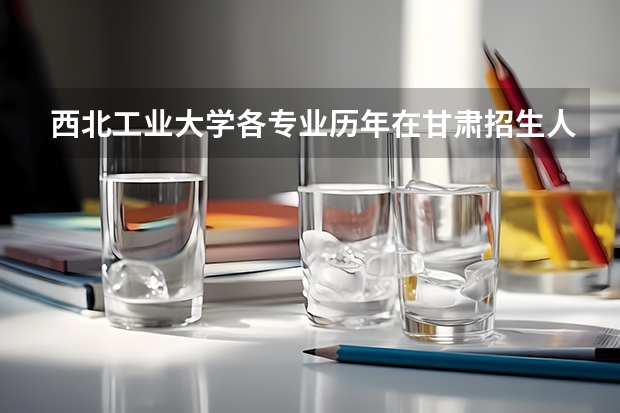 西北工业大学各专业历年在甘肃招生人数是多少