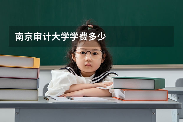 南京审计大学学费多少