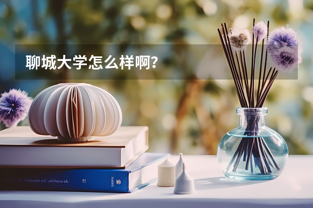 聊城大学怎么样啊？