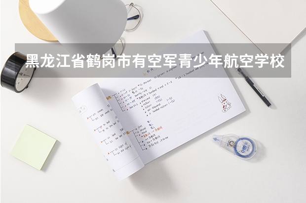 黑龙江省鹤岗市有空军青少年航空学校吗？