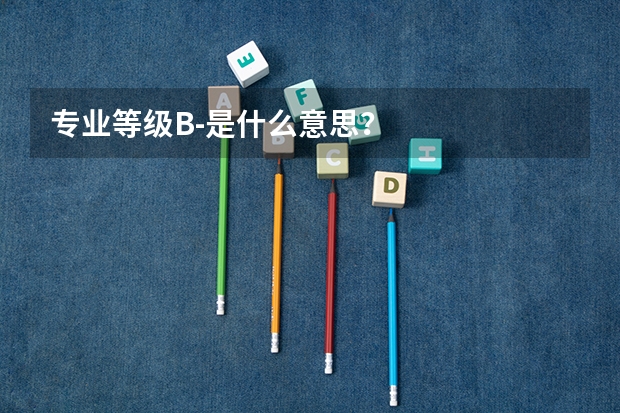 专业等级B-是什么意思？
