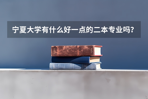 宁夏大学有什么好一点的二本专业吗？