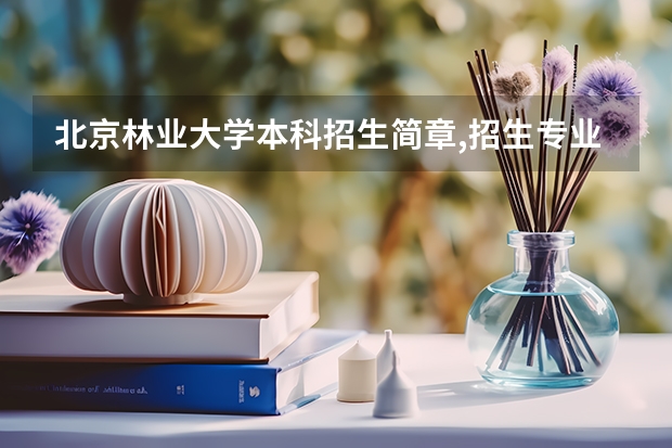 北京林业大学本科招生简章,招生专业 有关北航金融系