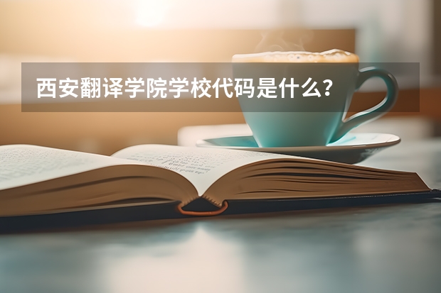 西安翻译学院学校代码是什么?