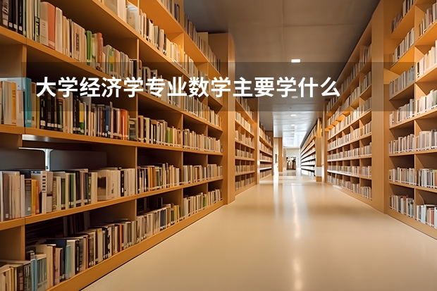 大学经济学专业数学主要学什么
