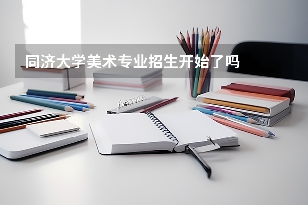 同济大学美术专业招生开始了吗