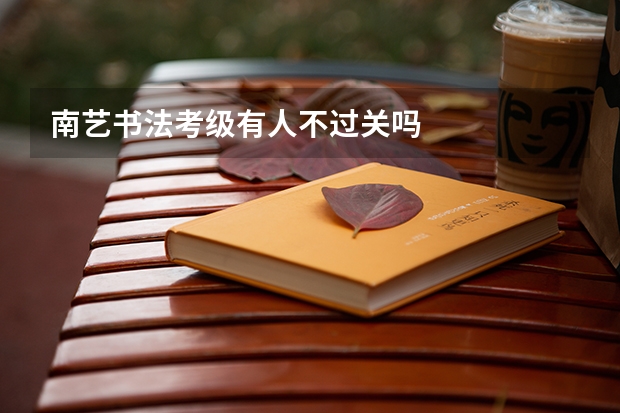 南艺书法考级有人不过关吗