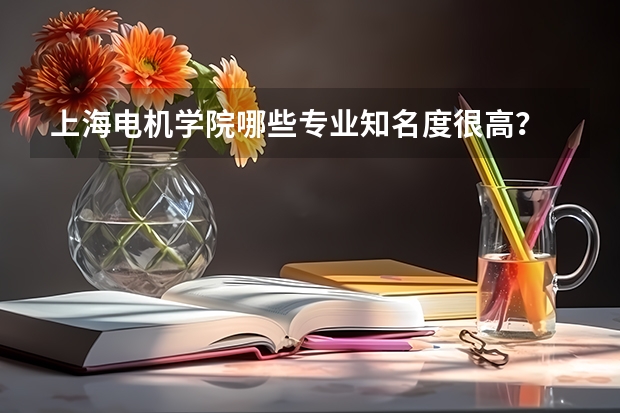 上海电机学院哪些专业知名度很高？