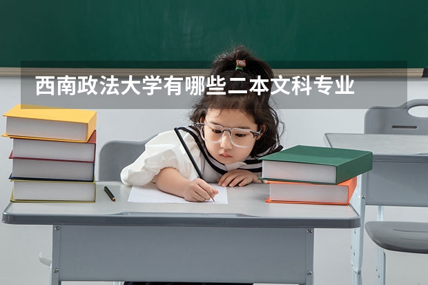 西南政法大学有哪些二本文科专业