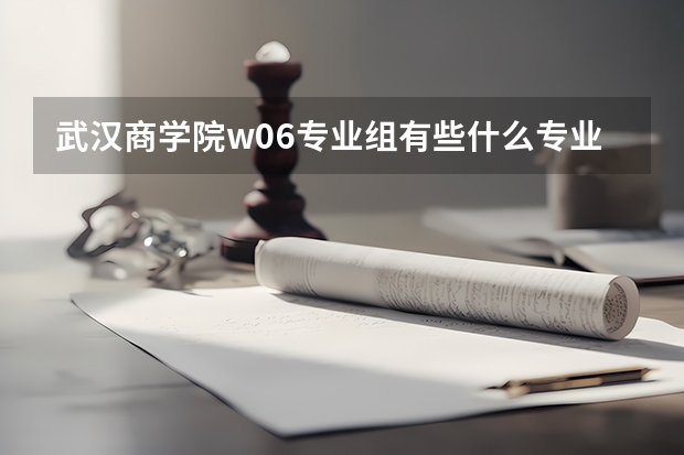 武汉商学院w06专业组有些什么专业