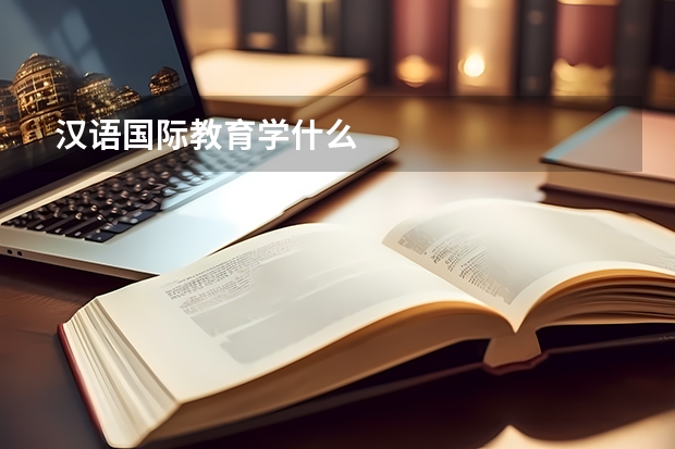 汉语国际教育学什么