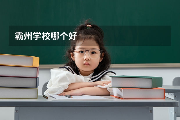 霸州学校哪个好