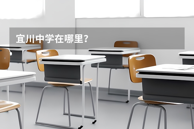 宜川中学在哪里？