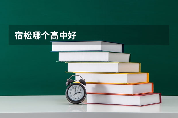 宿松哪个高中好
