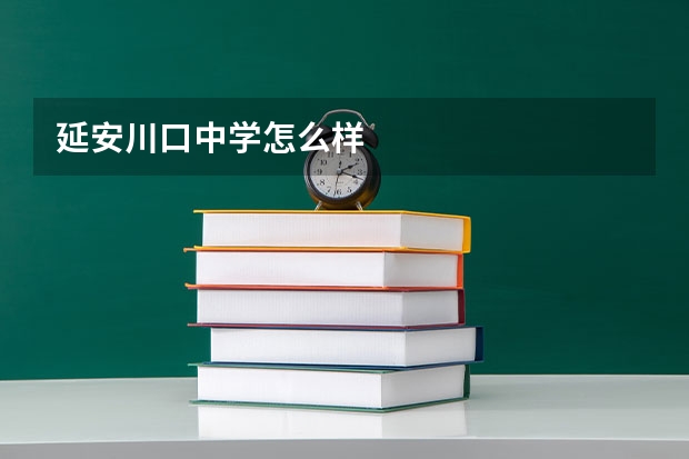 延安川口中学怎么样