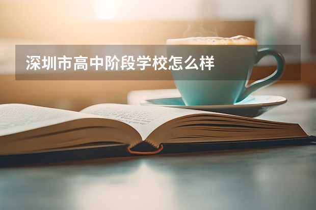 深圳市高中阶段学校怎么样