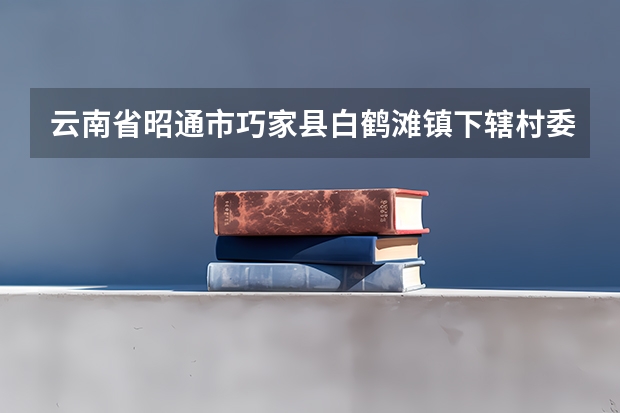 云南省昭通市巧家县白鹤滩镇下辖村委会有哪些？