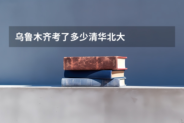 乌鲁木齐考了多少清华北大