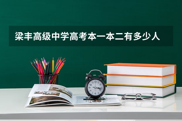 梁丰高级中学高考本一本二有多少人