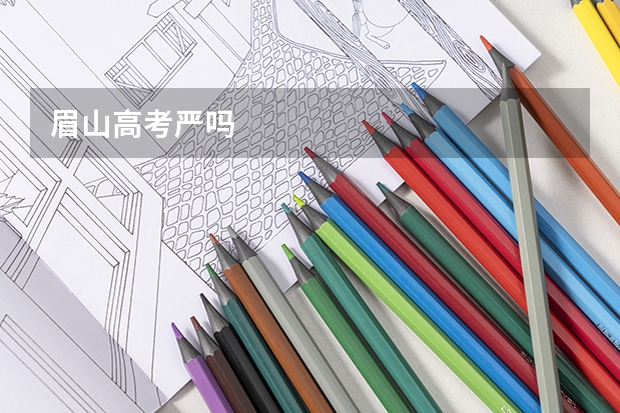 眉山高考严吗