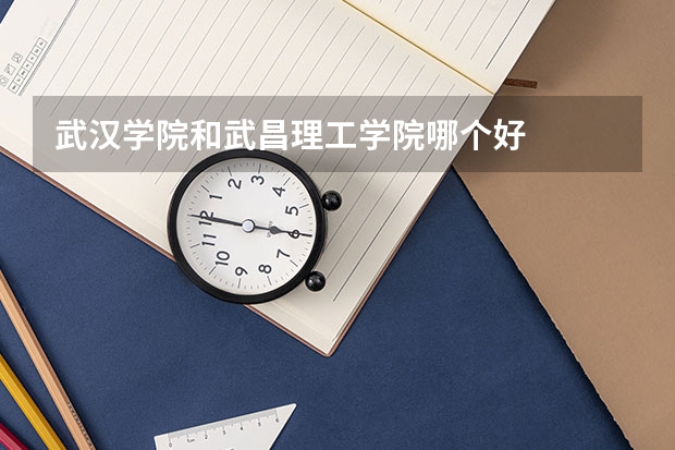 武汉学院和武昌理工学院哪个好