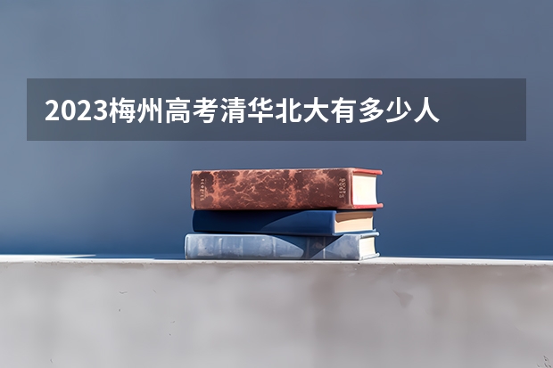 2023梅州高考清华北大有多少人