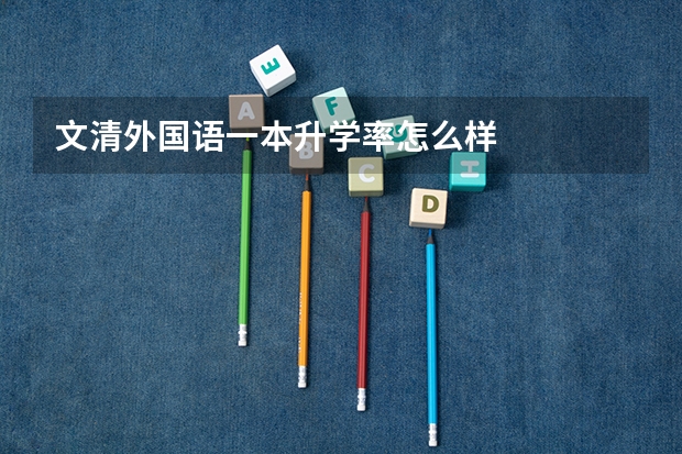 文清外国语一本升学率怎么样