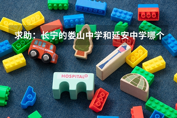 求助：长宁的娄山中学和延安中学哪个好些