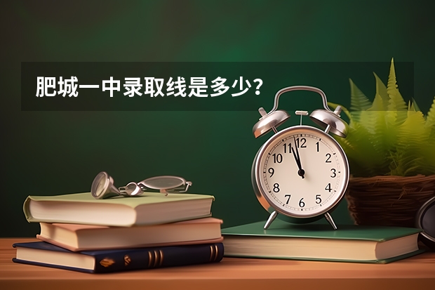 肥城一中录取线是多少？