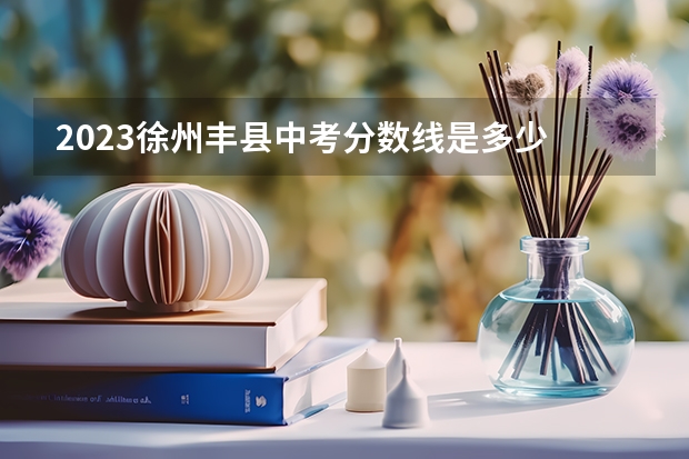 2023徐州丰县中考分数线是多少