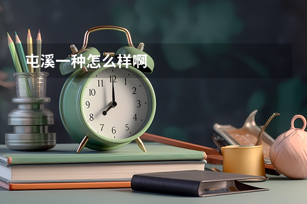 屯溪一种怎么样啊