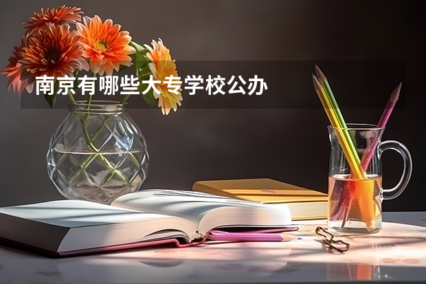 南京有哪些大专学校公办