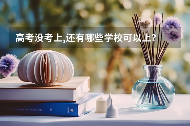 高考没考上,还有哪些学校可以上？