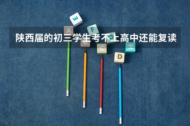 陕西届的初三学生考不上高中还能复读吗？