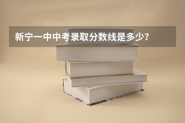 新宁一中中考录取分数线是多少？