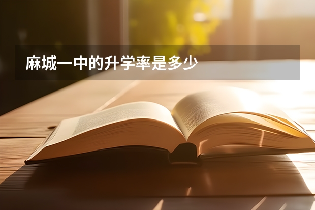 麻城一中的升学率是多少