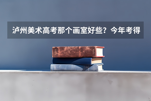 泸州美术高考那个画室好些？今年考得最好的是哪个画室啊？要市区的！