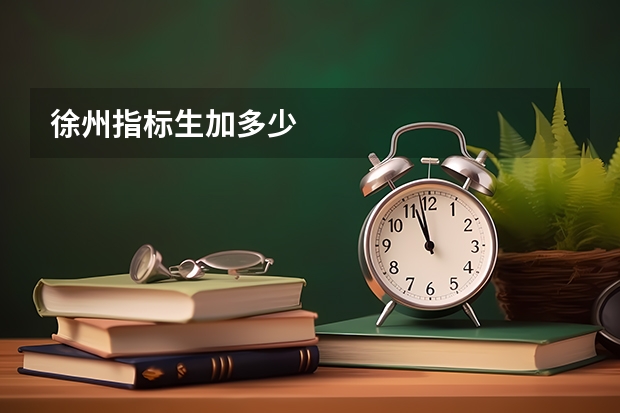 徐州指标生加多少