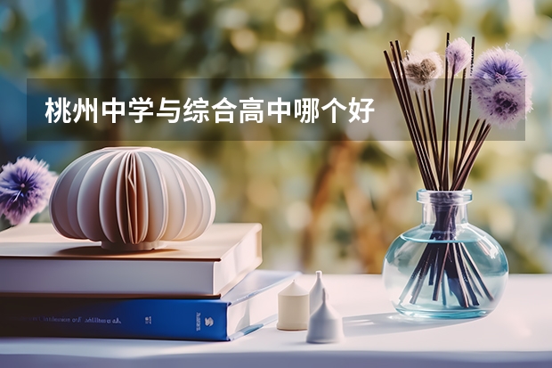 桃州中学与综合高中哪个好