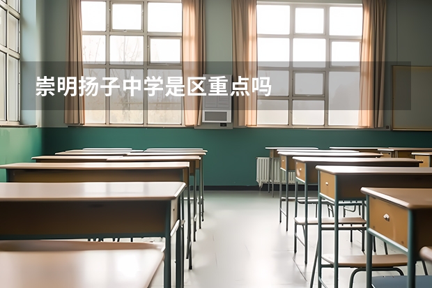 崇明扬子中学是区重点吗