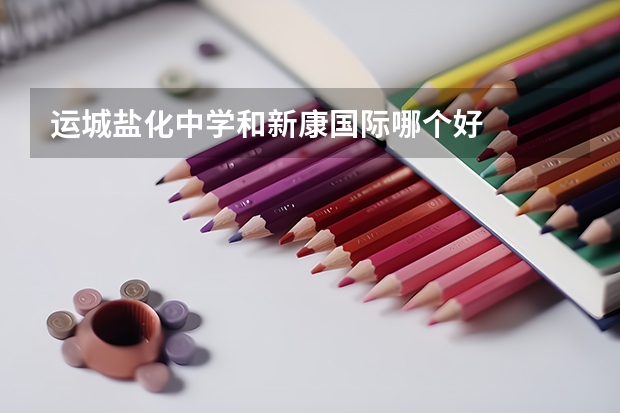 运城盐化中学和新康国际哪个好