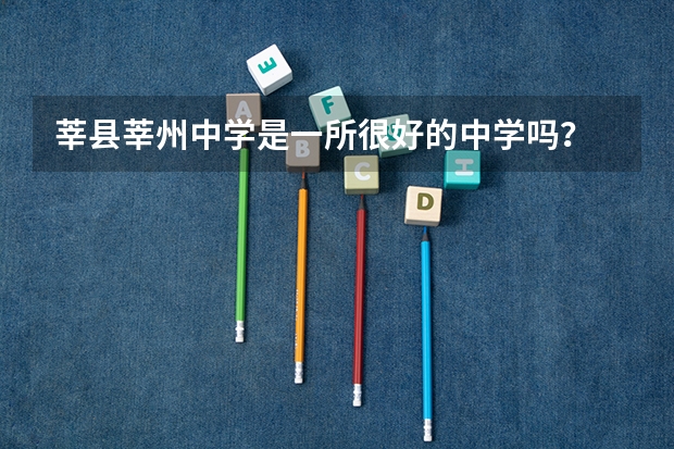 莘县莘州中学是一所很好的中学吗？