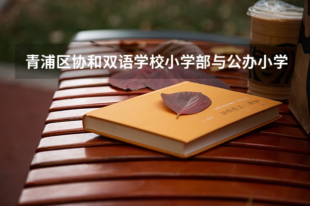 青浦区协和双语学校小学部与公办小学教育质量哪个好