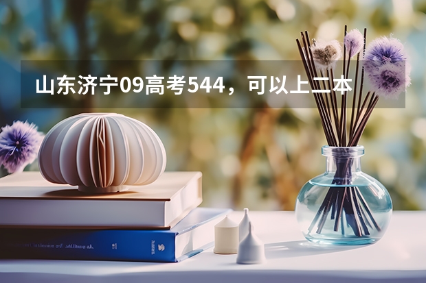 山东济宁09高考544，可以上二本吗？