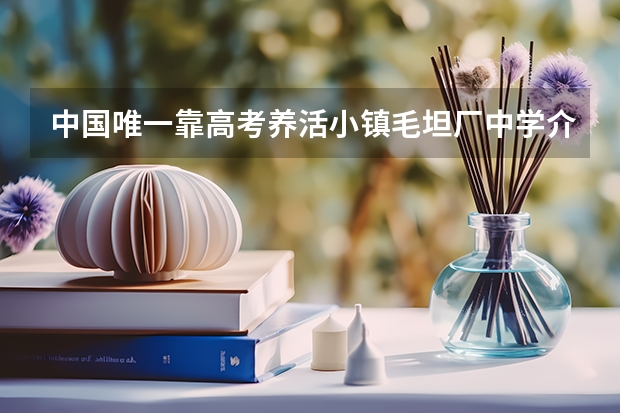 中国唯一靠高考养活小镇毛坦厂中学介绍 德州学院录取分数线