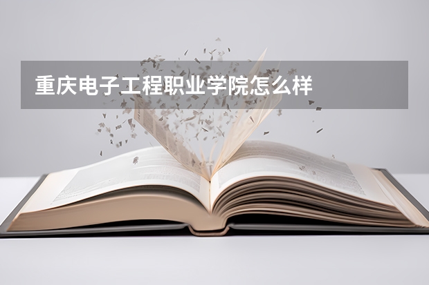 重庆电子工程职业学院怎么样