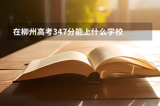 在柳州高考347分能上什么学校