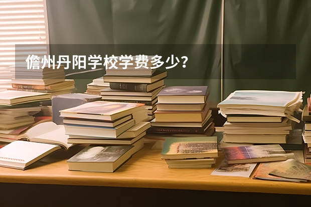 儋州丹阳学校学费多少？