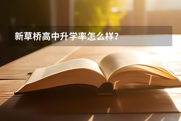 新草桥高中升学率怎么样？
